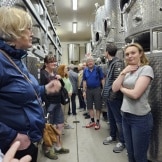 Weinprobe mit Besichtigung auf dem Weingut Wijndomein St. Martinus