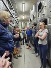 Weinprobe mit Besichtigung auf dem Weingut Wijndomein St. Martinus